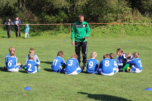 开云官方网页登录-北京队战术革新,势要突破!,北京队队员